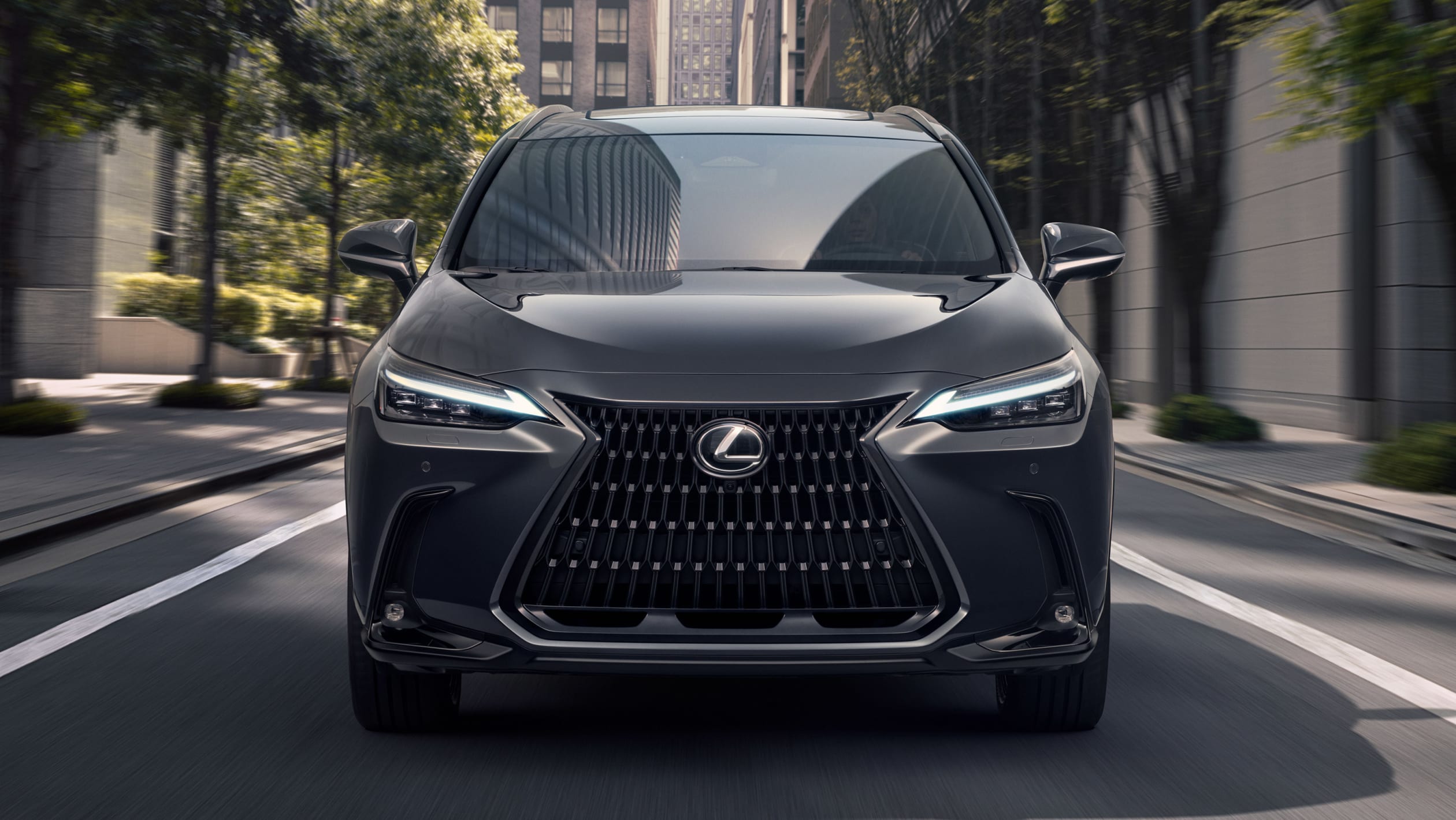 aria-label="Lexus NX 21"