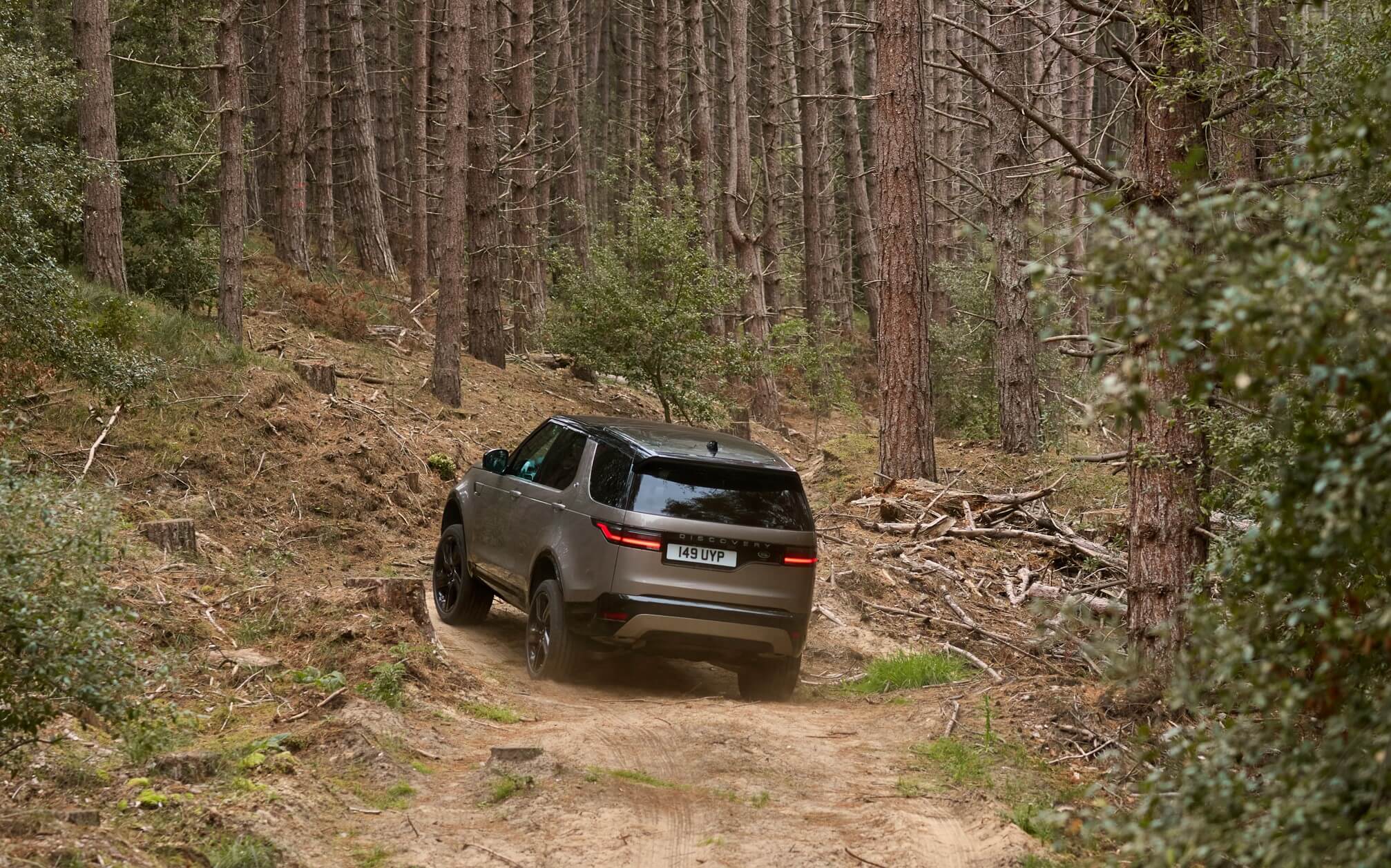 Tegenstander zonsopkomst gisteren Will the Land Rover Discovery return to glory? - Automotive Daily